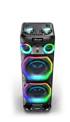 Lenyes S885 KTV Speaker 450W Black