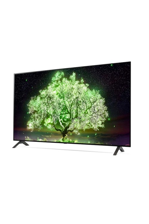 48'' 4K OLED SMART TV (60 HZ)