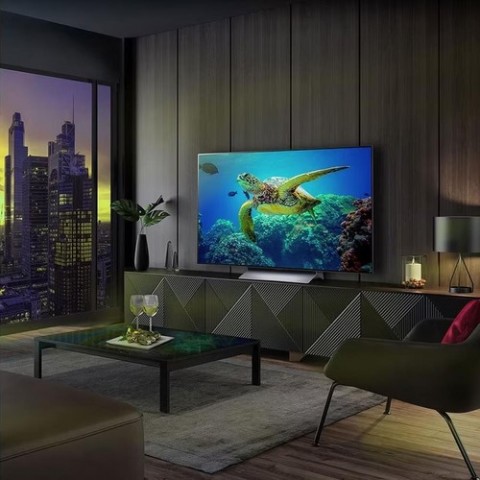 LG OLED evo 55'' C3 Serisi 4K Smart TV