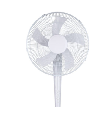 SUNNY 5P 16 SUNNY 5P 16